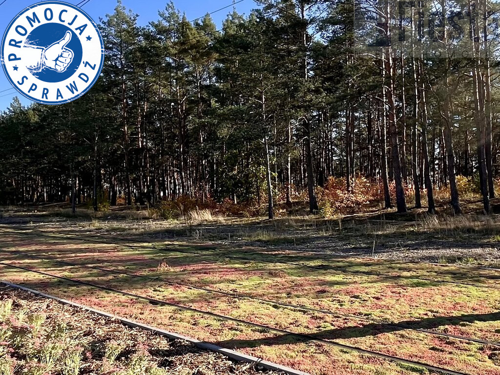 Mieszkanie Sprzedaż Toruń Jana Heweliusza