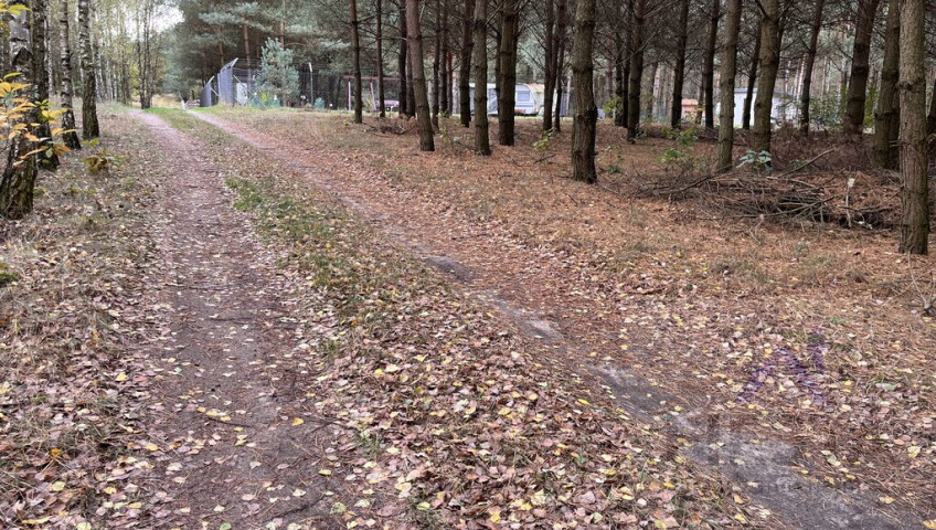 Działka Sprzedaż Sosnowo