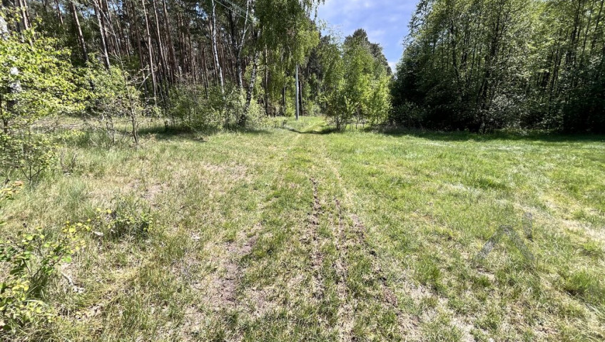 Działka Sprzedaż Maluszyn