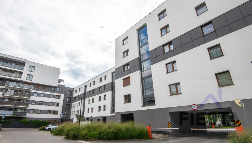 Mieszkanie Wynajem Poznań Stare Miasto Hawelańska