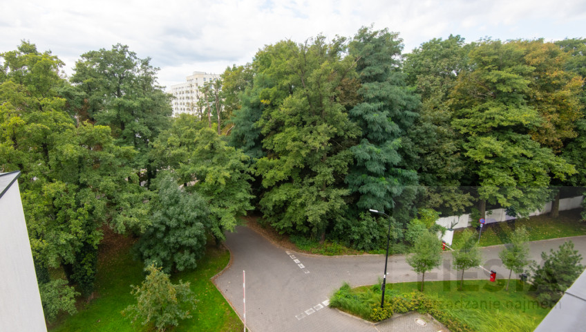Mieszkanie Wynajem Poznań Stare Miasto Hawelańska