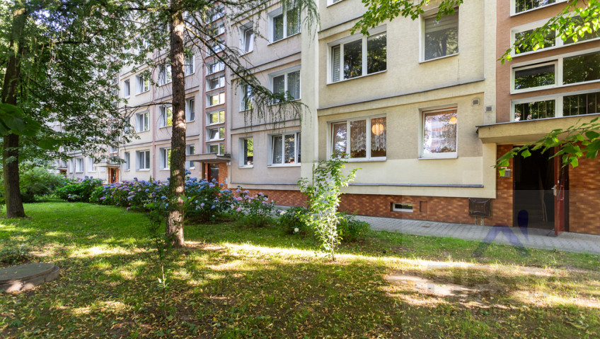Mieszkanie Wynajem Kraków Kraków-Śródmieście Ugorek